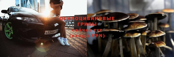 ГАЛЛЮЦИНОГЕННЫЕ ГРИБЫ Баксан