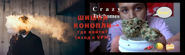 ГАЛЛЮЦИНОГЕННЫЕ ГРИБЫ Баксан